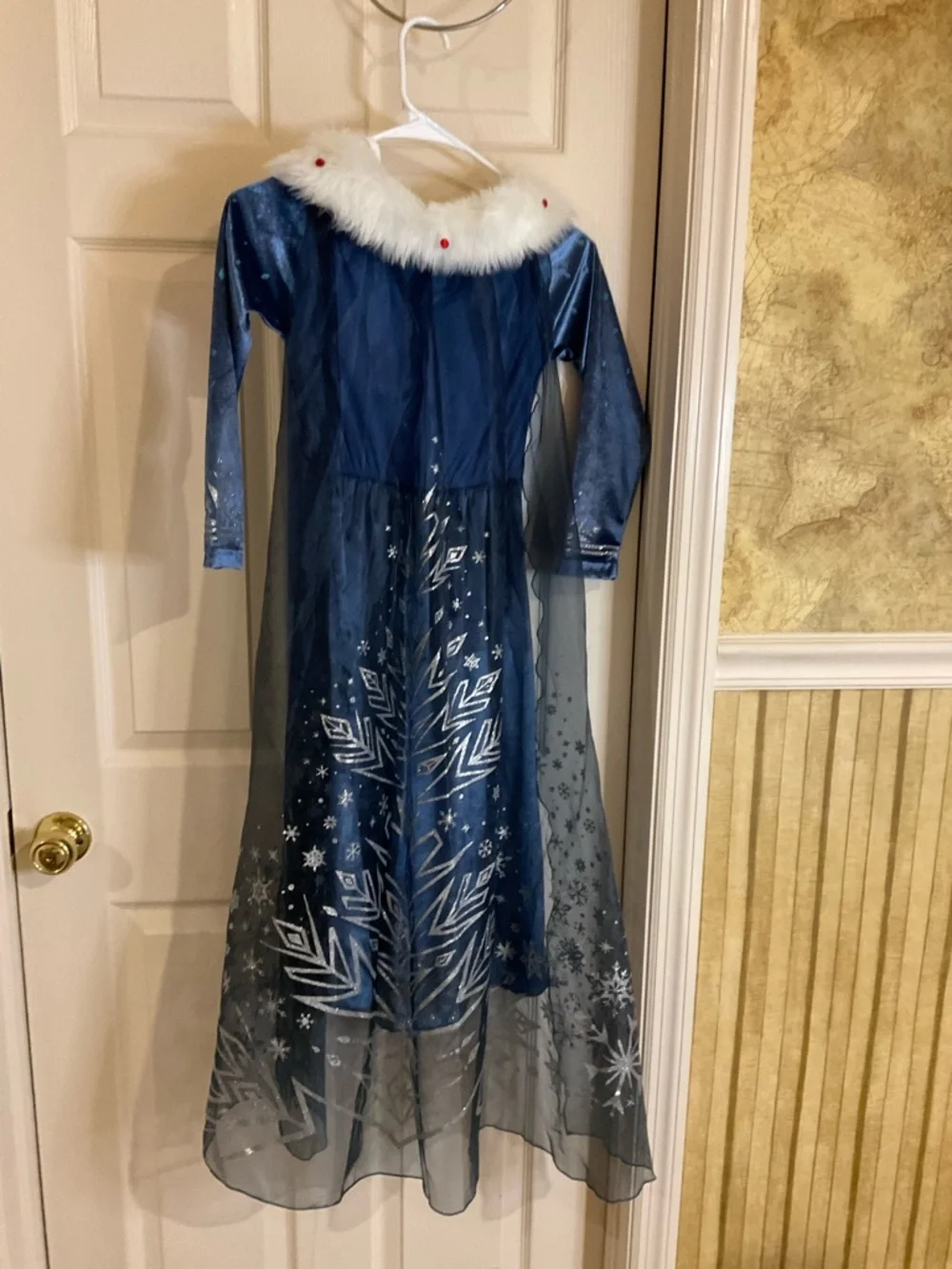Frozen Princess Elsa Winter Princess Dress with Faux Fur Collar.